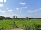 Działka z linią brzegową- kamper, przyczepa,namiot - 16
