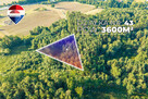 Działka leśna pow. 29.600 m², Bukowina Sycowska - 6