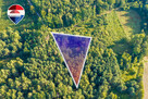 Działka leśna pow. 29.600 m², Bukowina Sycowska - 11