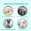 Pet Soft JEDNORAZOWE PIELUCHY DLA SUCZKI M 16-11kg 30-50cm k - 6