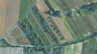 Sprzedam Pole Orne/Sad - 5