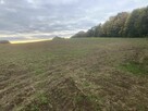 Na sprzedaż działka Roztoka - Nowa Wieś Przywidzka - 4