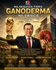 ONE WORLD – ONE MARKET. Poznaj świat DXN! - 7
