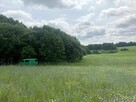 Na sprzedaż działka Roztoka - Nowa Wieś Przywidzka - 1