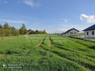 Działka budowlana Polanówka gm. Strzyżewice, Polanówka - 5