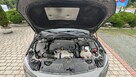 Opel Insignia 2.0 CDTI (210 KM) – Fabryczny Pakiet OPC-Line, FlexRide, Matryce LED - 11