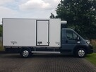Peugeot Boxer 8EP CHŁODNIA AGREGAT CARRIER VIENTO 350 FUNKCJA GRZANIA 4,13x2,06x1,89 - 12