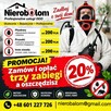 Bezinwazyjne usuwanie prusaków i karaluchów