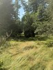 Uzbrojona działka budowlana 2300 m² | Frywałd | bez prowizji - 9
