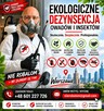 Ekologiczna dezynsekcja od ręki - 2