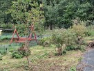 Sprzedam ogródek działkowy ROD Koszalin - 4