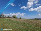 1,03 ha w Starym Wielisławiu