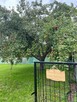 Duża działka ROD 443 m2 • NOWY DOMEK • - 4