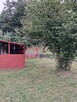 Sprzedam ogródek działkowy ROD Koszalin - 3