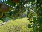 Duża działka ROD 443 m2 • NOWY DOMEK • - 2