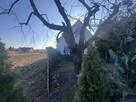 Lokal użytkowy z ogrodem i miejscami postojowymi - 7