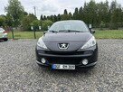 Peugeot 207 - 3