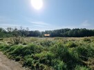 Dom Modlniczka gm. Wielka Wieś, Wrzosy