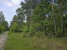 Działka budowlana Przyłęk gm. Nowy Tomyśl, - 4
