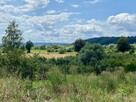 Działka leśna Janowice gm. Pleśna - 1