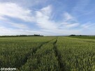 Miejsce pod Twój wymarzony dom - 4