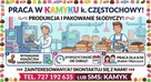 PRACA NA PRODUKCJI CIASTEK DLA M/K OD ZARAZ - 2