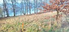 [PIERWSZA LINIA BRZEGOWA] Działka z widokiem na jeziorem - 12