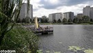 Warszawa Praga Gocław Abrahama 42,3 m2 pokój, kuchnia, garaż - 12