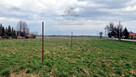 Działka budowlana/siedliskowa 3000m2 z MPZP Sokolniki gm. Kąty Wrocławskie