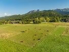 Działka rolna 3115 m² | Kościelisko - 1