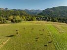 Działka rolna 3115 m² | Kościelisko - 3