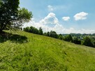 Pakiet działek w Brzegach jako lokata kapitału - 7