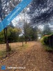 Działka budowlana nad rzeką Świder 30 min z Warszawy - 4