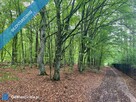 Działka budowlana nad rzeką Świder 30 min z Warszawy - 8