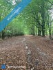 Działka budowlana nad rzeką Świder 30 min z Warszawy - 9