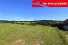 Działka z WZ | 5291 m2 | widok na Pieniny - 13