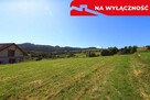 Działka z WZ | 5291 m2 | widok na Pieniny - 14