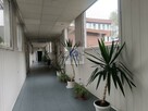 Lokal użytkowy Warszawa Mokotów, Siekierki, Siekierkowska - 4