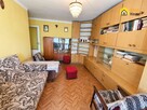 Mieszkanie Końskie, 16 Stycznia - 1
