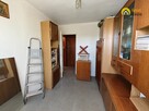 Mieszkanie Końskie, 16 Stycznia - 5