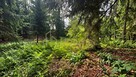 Działka 3206 m² przy jeziorze z WZ - 2