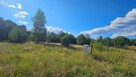 Działka w lesie 3006 m² | pozwolenie na budowę - 3