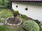 Działka 920 m² z domkiem letniskowym-Jankowo Dolne - 11