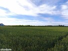 Miejsce pod Twój wymarzony dom - 7