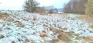 [PIERWSZA LINIA BRZEGOWA] Działka z widokiem na jeziorem - 10