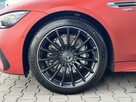 Mercedes AMG GT 53 AMG. Manufaktur. AMG Performance. - 13