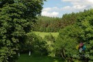 Stajnia, dom 3,5ha duża działka, linia brzegowa - 5