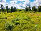 Mikołajki, budowlana z MPZP, 240 m linii brzegowej - 11
