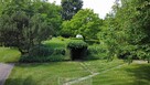 Wiśniew-Kolonia dom drewniany z działka 4780m2 - 6