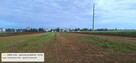 8 342 m² (0,8342 ha) gotowy teren inwestycyjny - Wieluń - 6
